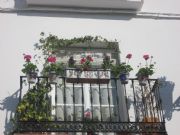 Llega la Primavera. Alozaina, Málaga